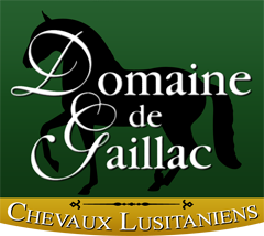 Chevaux Lusitaniens du Domaine de Gaillac
